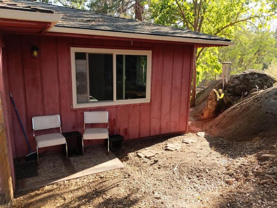 Sleeping Wolf Guest House 오크허스트 외부 사진